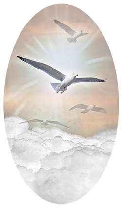 DNSBLUF 101 BZ Journey Home Clouds Bronze